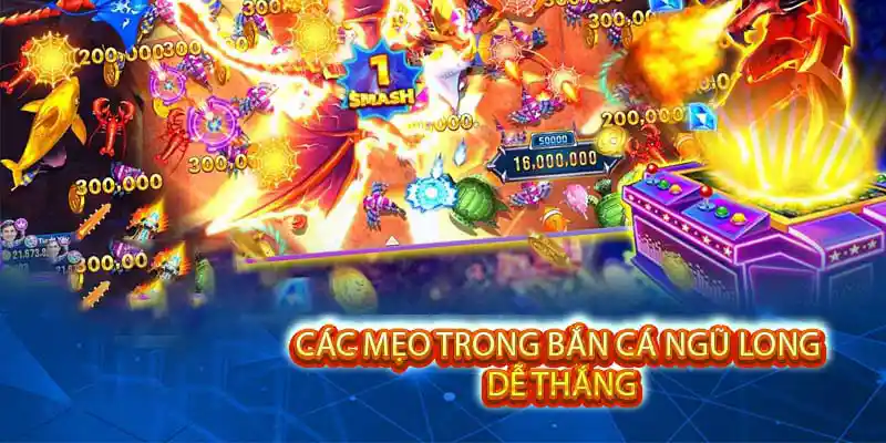 Mẹo chơi đạt tỷ lệ thắng cao